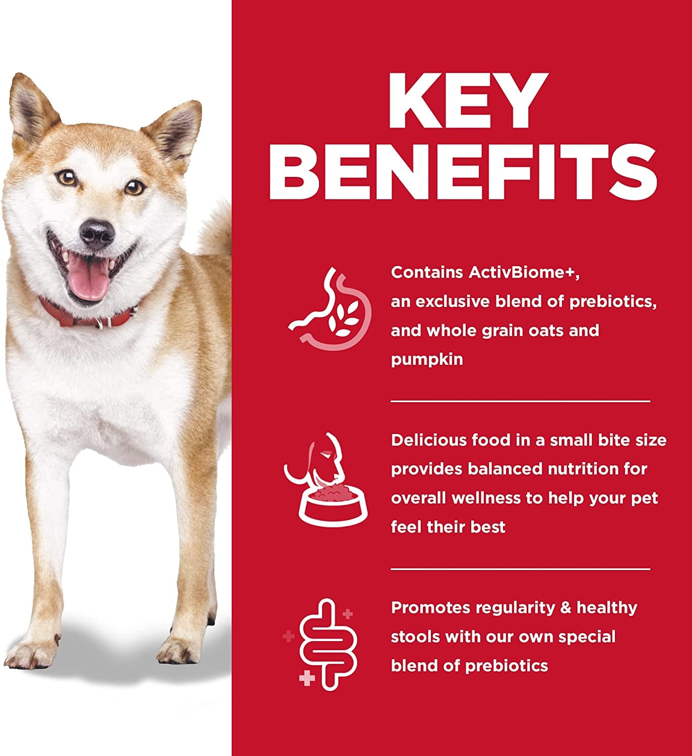 Adult Perfect Digestion Small Bites Dry Dog Food 1.58Kg